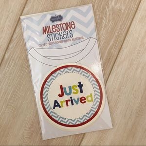 Mud pie milestone stickers